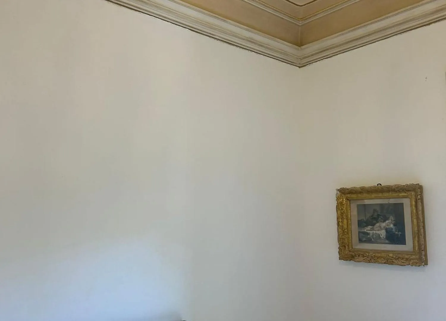 Bed and Breakfast Bed And Books Katania Nocleg ze śniadaniem